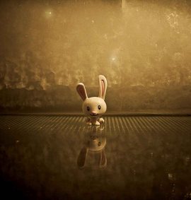 masterstudy_placeholder